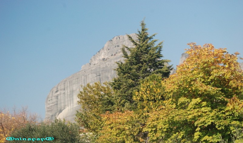 DSC_8721.jpg
