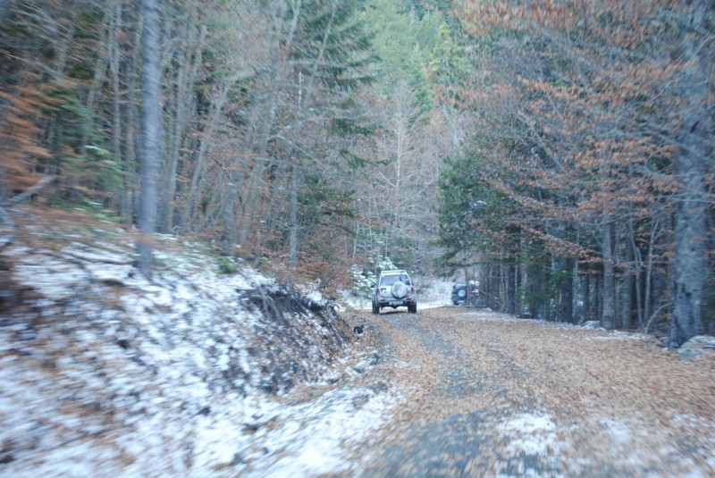 DSC_1627.jpg