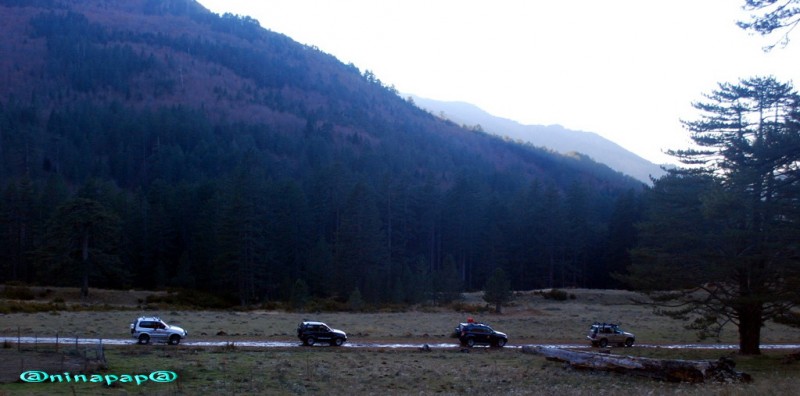 DSC_8740.jpg