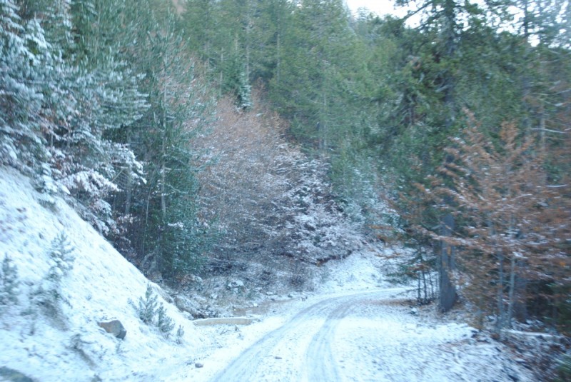 DSC_1636.jpg