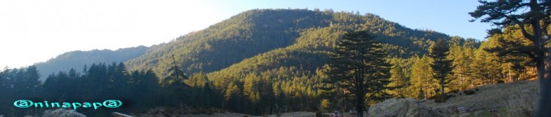 DSC_8742.jpg