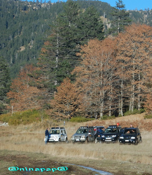 DSC_8746a.jpg