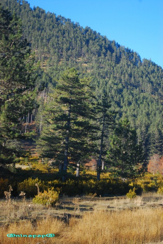 DSC_8751.jpg
