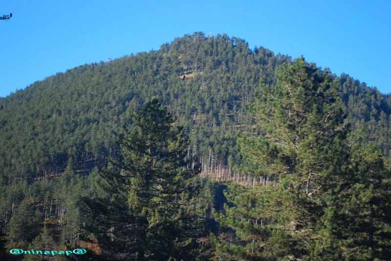 DSC_8754.jpg