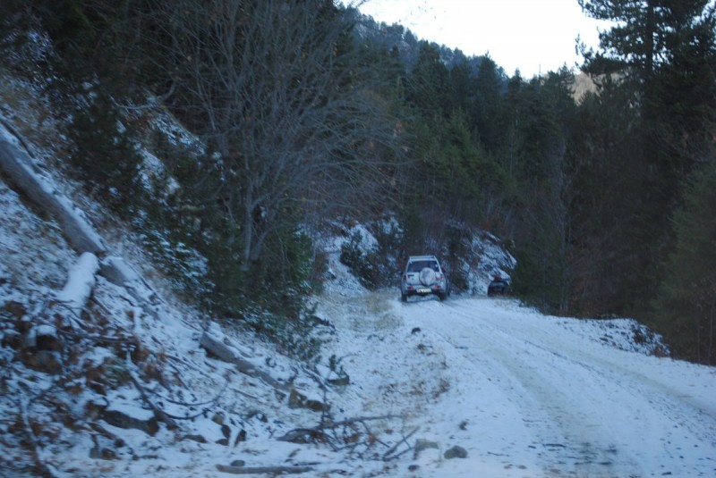 DSC_1655.jpg