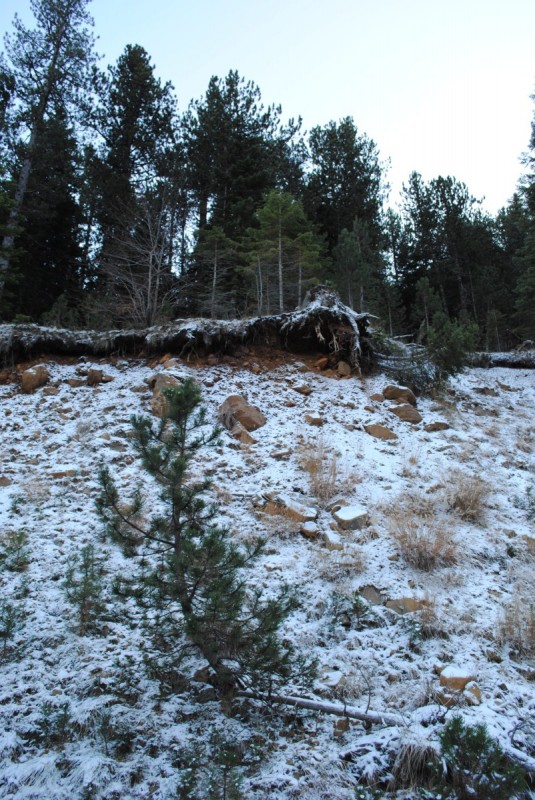 DSC_1678.jpg