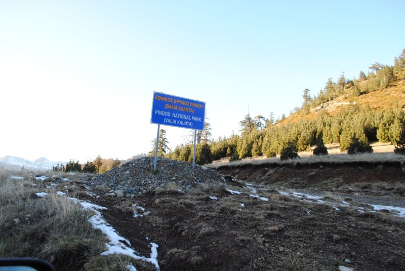 DSC_1707.jpg