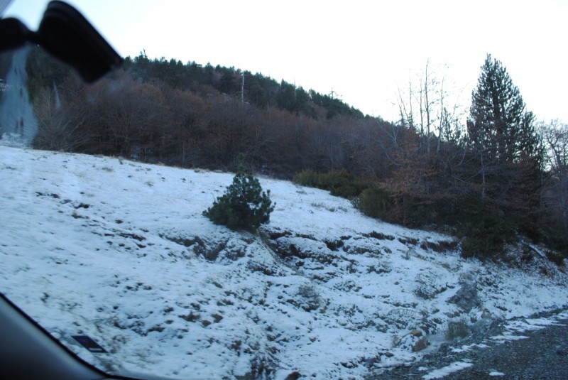 DSC_1710.jpg