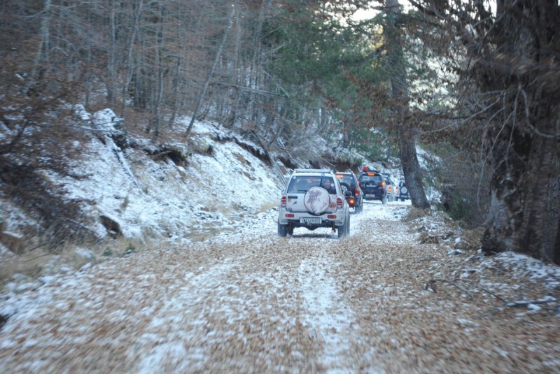 DSC_1713.jpg