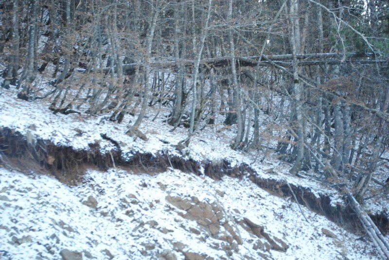 DSC_1714.jpg