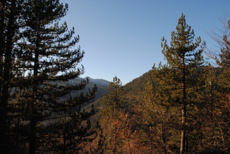 DSC_1720.jpg
