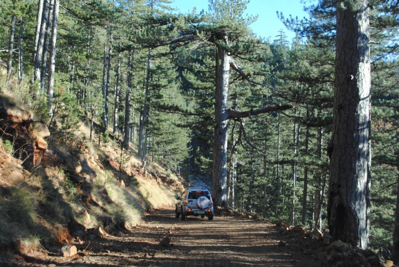 DSC_1728.jpg