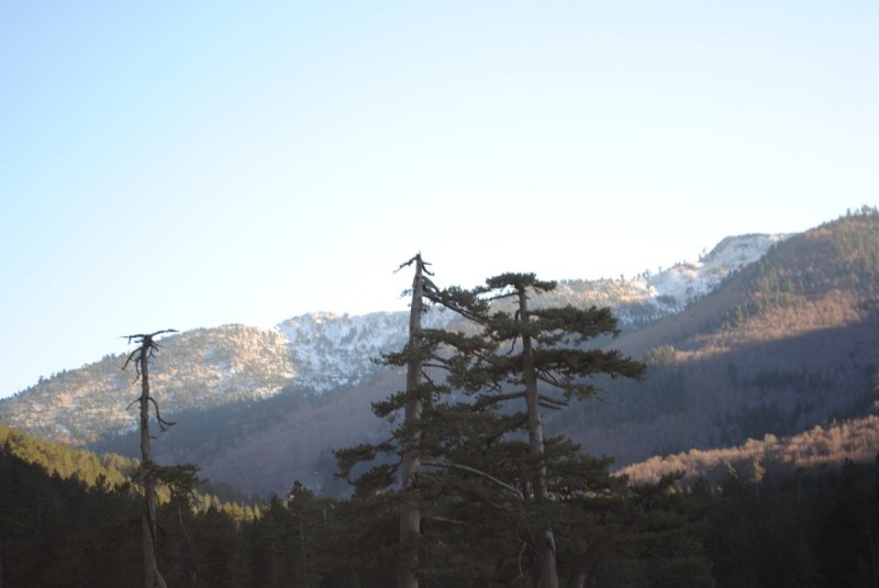 DSC_1737.jpg
