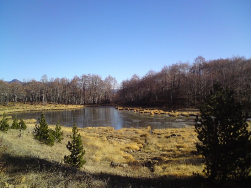 DSC00869 (1000 x 750).jpg