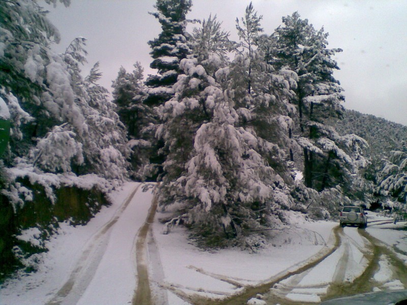 Εικόνα054 (800 x 600).jpg