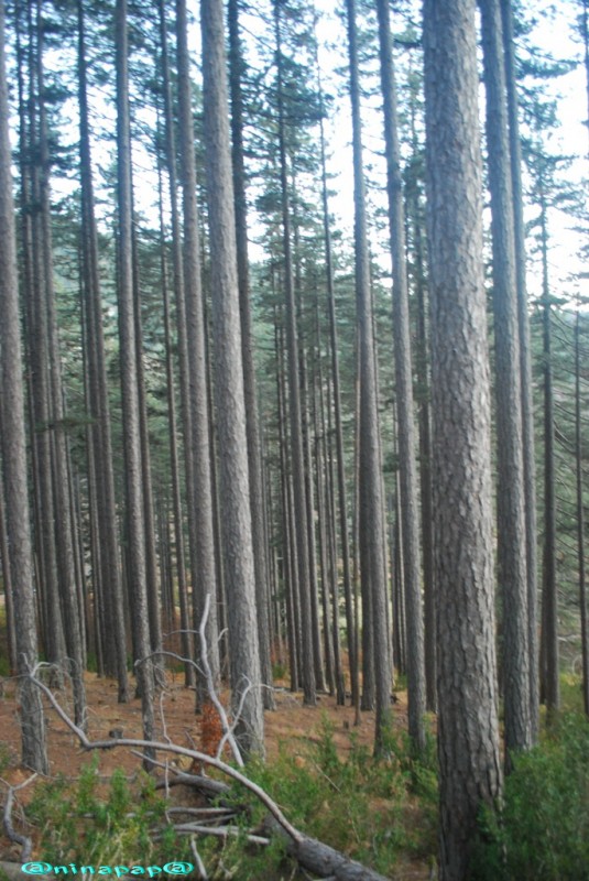 DSC_8816.jpg