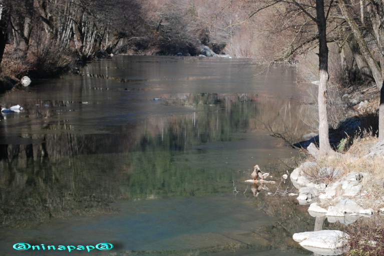 DSC_8867.jpg