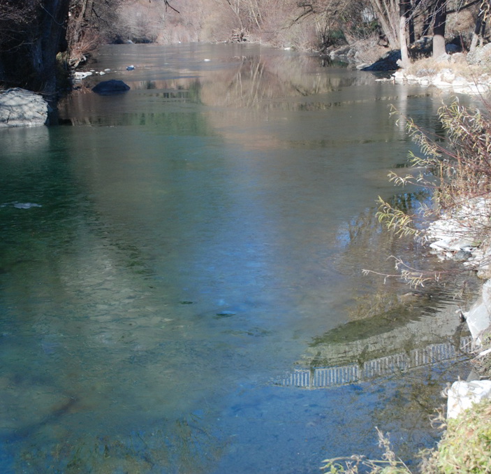 DSC_8892.jpg
