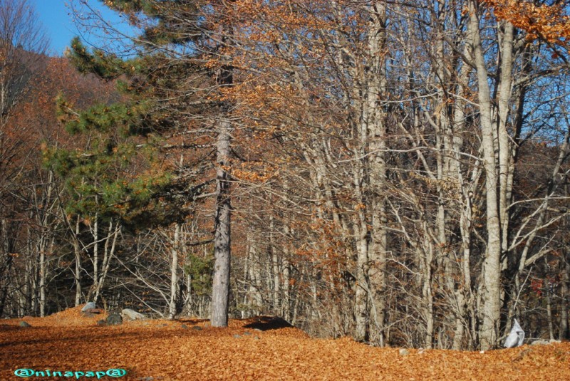 DSC_8902a.jpg