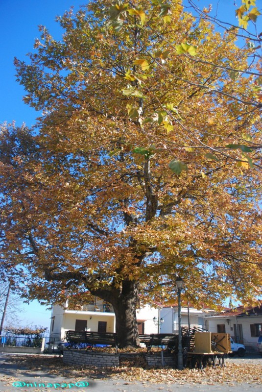 DSC_8905.jpg