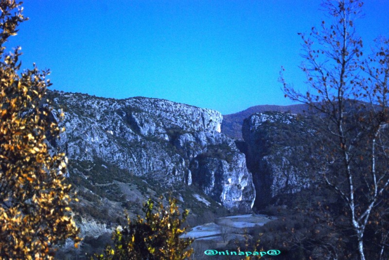 DSC_8910.jpg