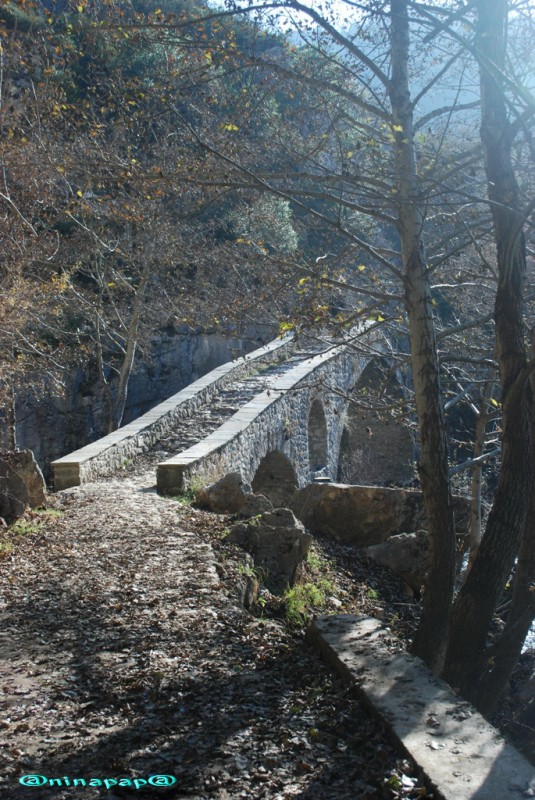 DSC_8915.jpg