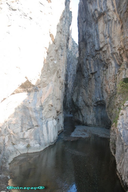 DSC_8919.jpg