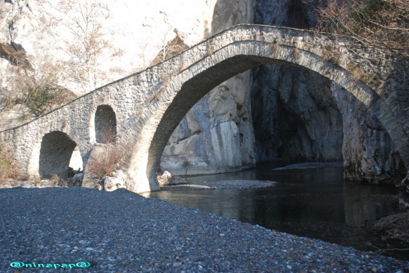 DSC_8939a.jpg
