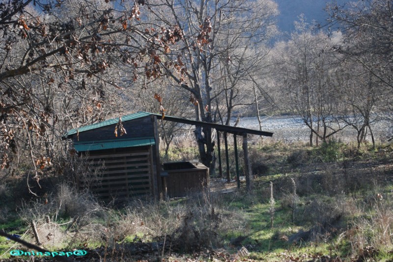 DSC_8949.jpg