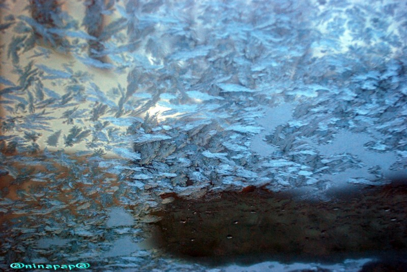 DSC_8962a.jpg