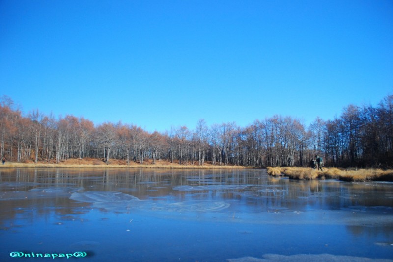 DSC_8978a.jpg