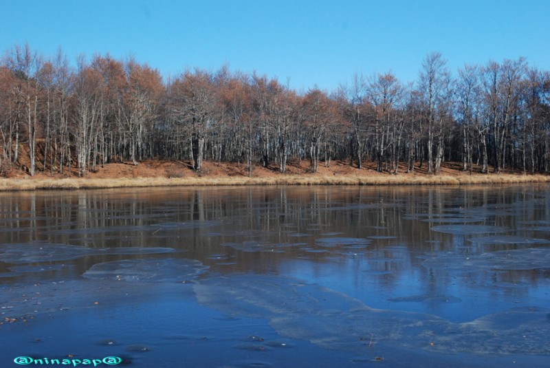DSC_8985a.jpg