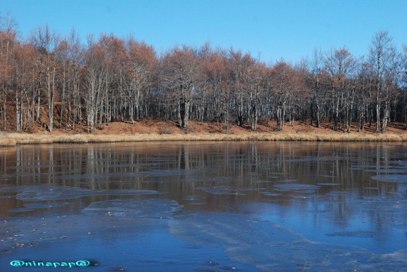 DSC_8987.jpg