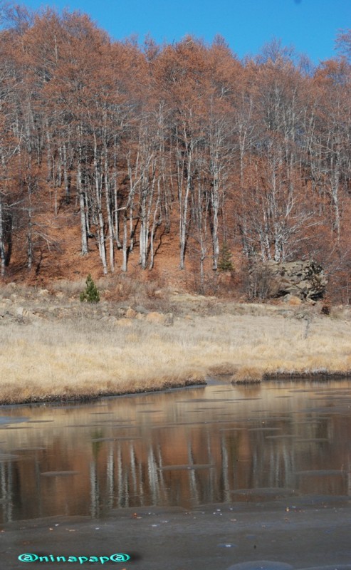 DSC_8988α.jpg