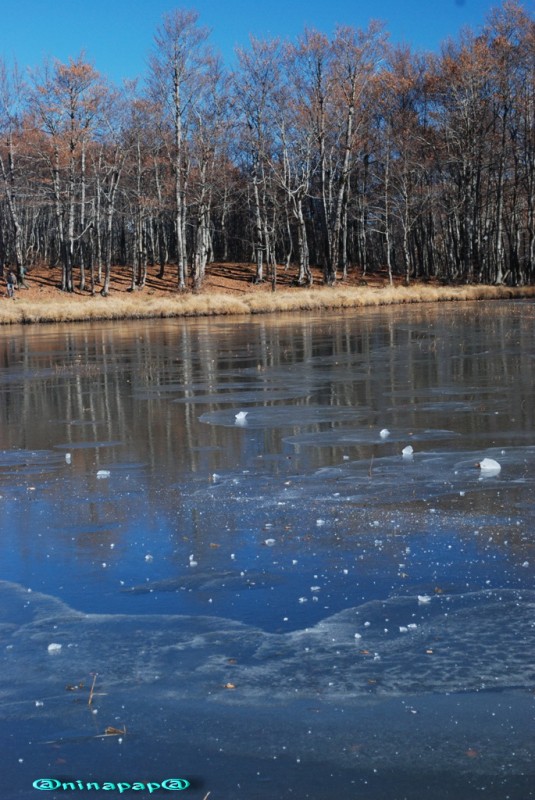 DSC_8994α.jpg