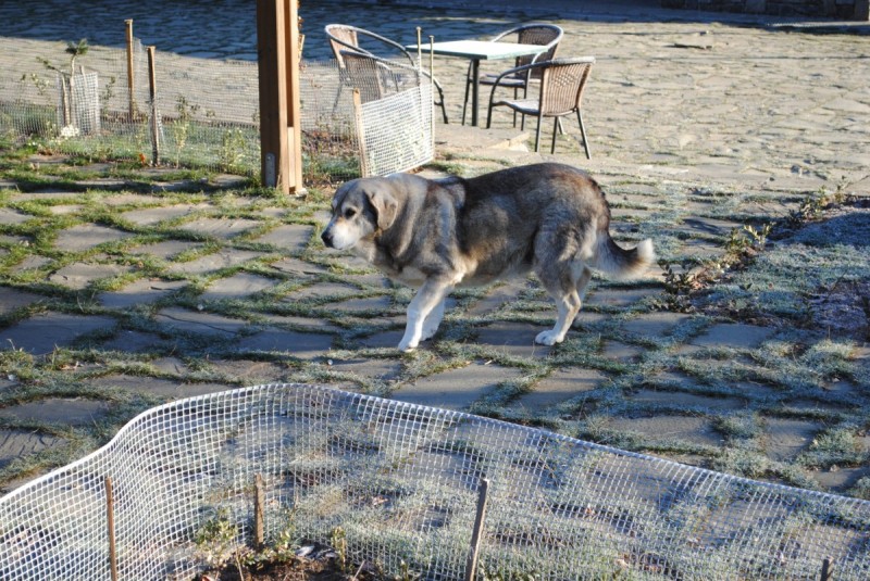 DSC_1879.jpg