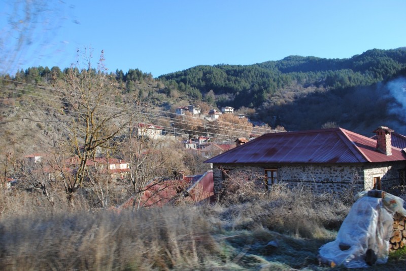 DSC_1924.jpg