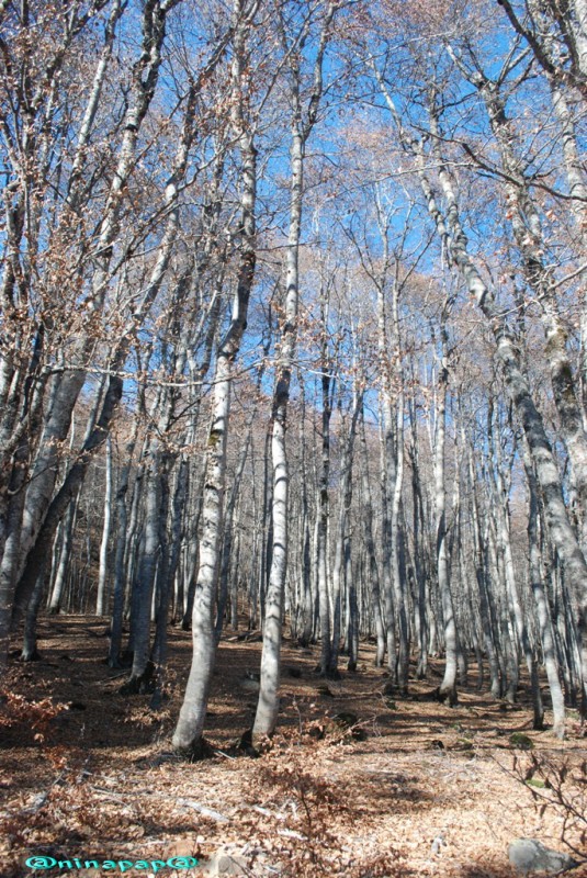 DSC_9013.jpg