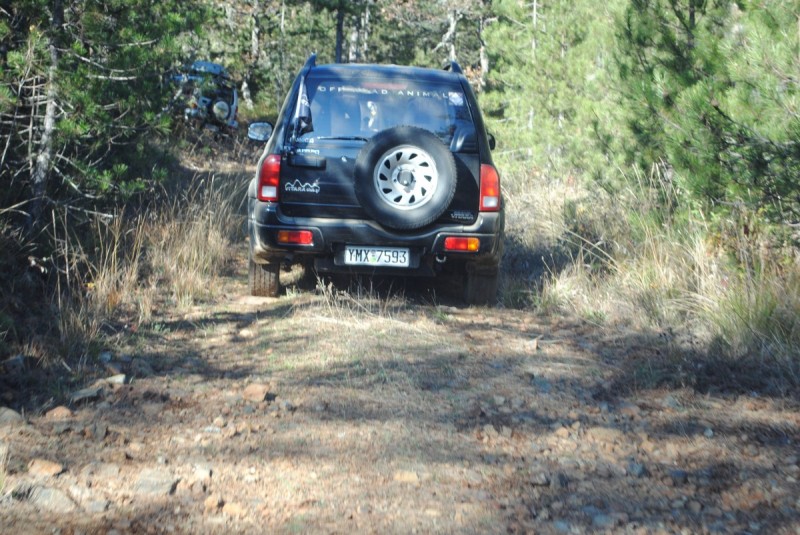 DSC_1954.jpg