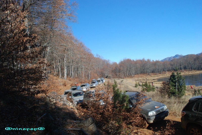 DSC_9015α.jpg