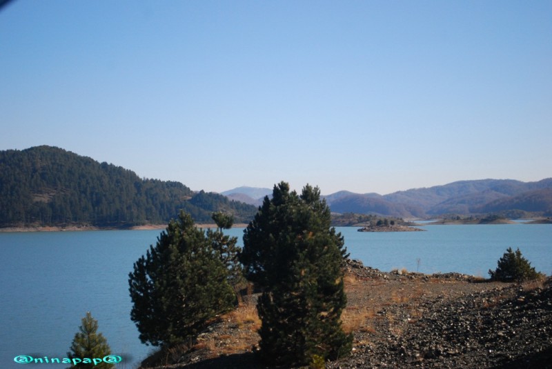 DSC_9042a.jpg