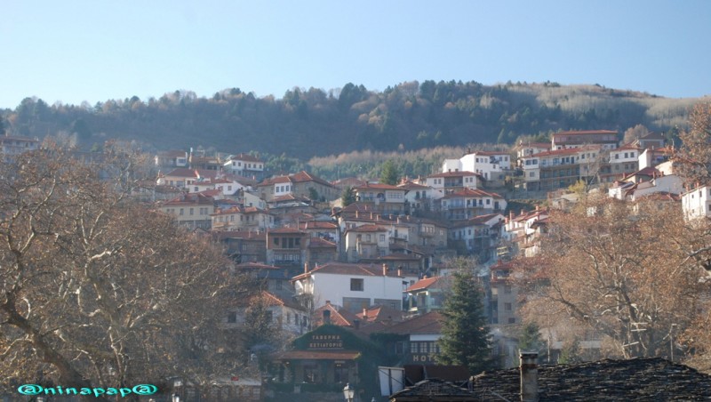 DSC_9057.jpg