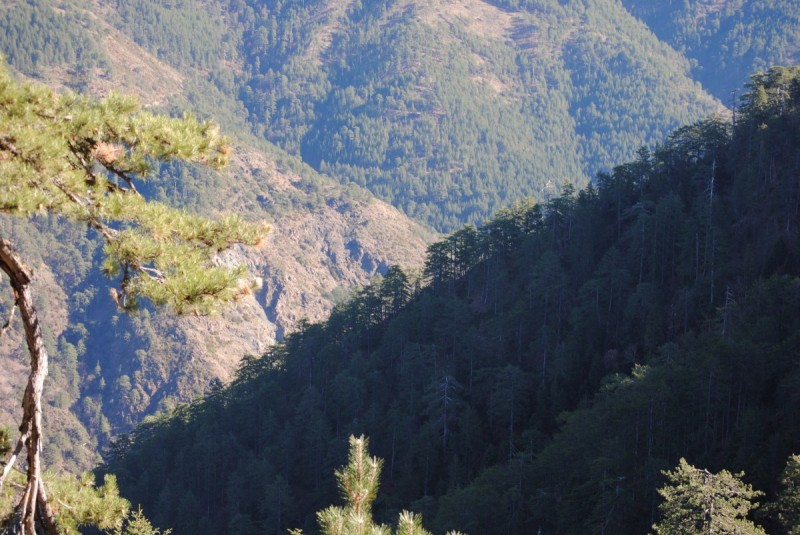 DSC_2060.jpg