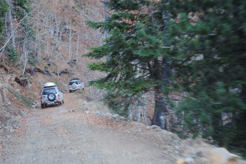 DSC_2087.jpg