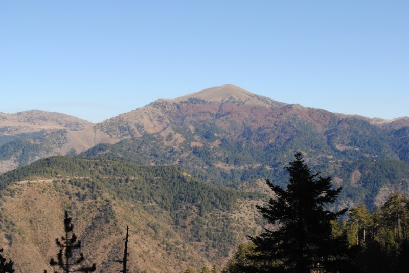 DSC_2088.jpg