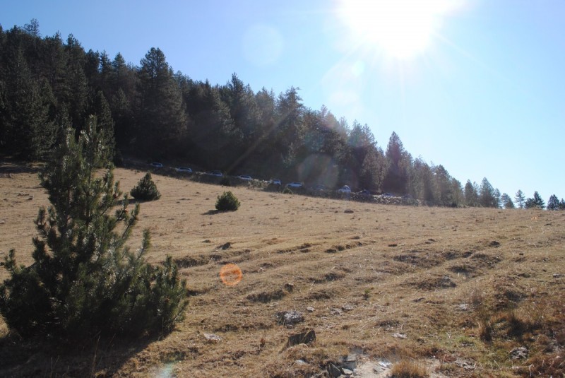 DSC_2101.jpg