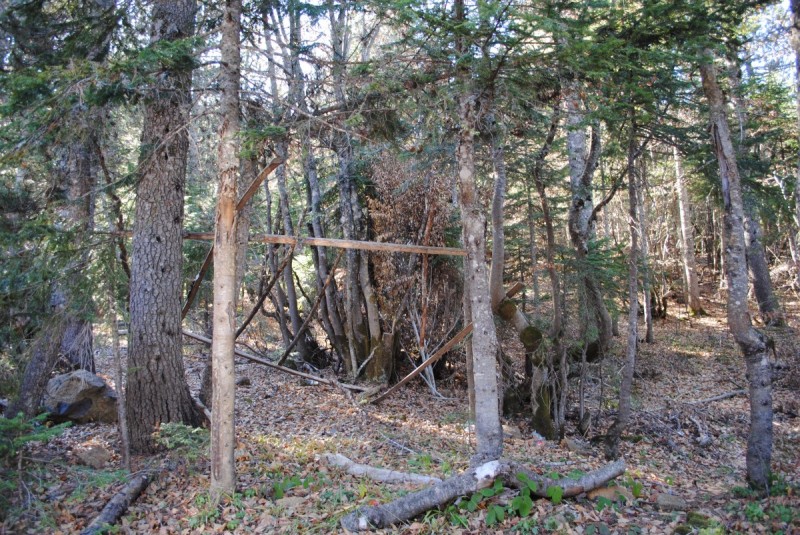 DSC_2110.jpg