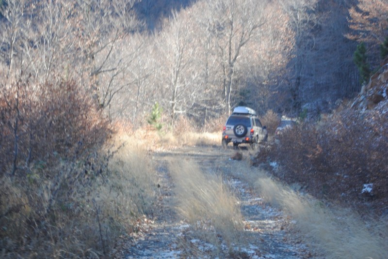 DSC_2123.jpg