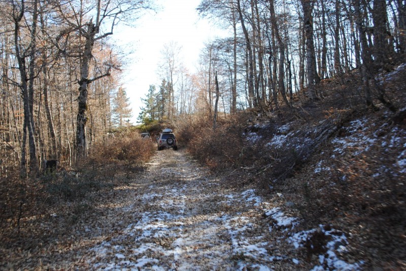DSC_2146.jpg