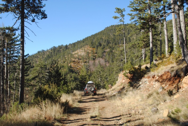 DSC_2150.jpg
